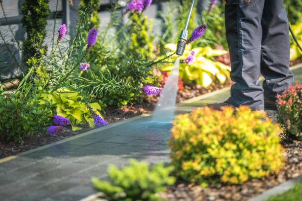 Best Pre-Holiday Cleaning  in Mount Joy, PA